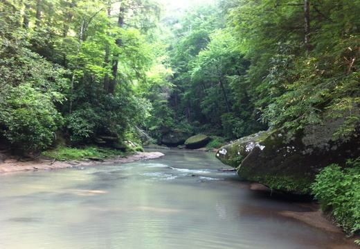 Clifty Wilderness